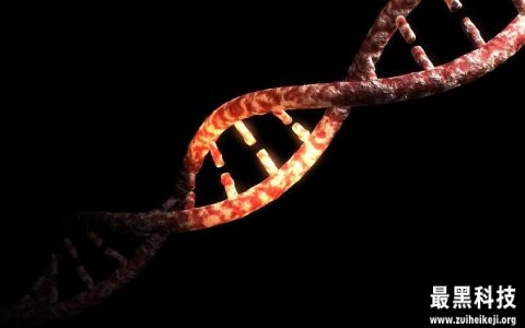 现代人类基因组中，只有1.5%到7%是我们独有的！